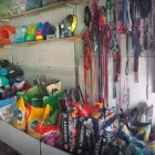La imagen 1 de la Empresa ANIMAL KINDOM PET SHOP Traslado de Perros en San Justo AR-B