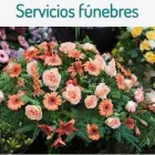 La imagen 1 de la Empresa ARGENTINA SEPELIOS Velatorios en Córdoba Argentina