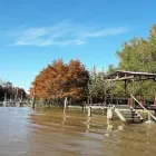 La imagen 1 de la Empresa CABAÑA NUESTRO SUEÑO DELTA TIGRE Cabaña en Tigre AR-B