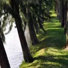 La imagen 4 de la Empresa CABAÑAS EL SITIO DORADO Cabañas Comodas en Tigre AR-B
