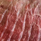 La imagen 8 de la Empresa CARNICERIA Y GRANJA SANTINO Ventas de Carnes en Santos Lugares AR-B