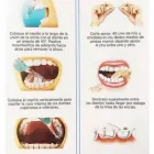 La imagen 1 de la Empresa CENTRO ODONTOLÓGICO INTEGRAL CHARCAS - COIC Protesis e Implantes en Capital Federal AR-B