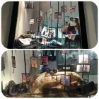 La imagen 6 de la Empresa CENTRO OPTICA ROVERSO Optometria en Villa Mercedes AR-D
