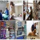 La imagen 2 de la Empresa CENTRO VETERINARIO DR LINARES Veterinario en Capital Federal AR-B