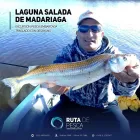 La imagen 2 de la Empresa CLUB DE TURISMO PATRY Operadores de turismo en San Martin AR-B
