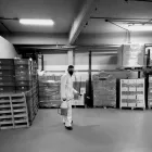 La imagen 3 de la Empresa CONTROL BIOTIC Sistemas de Fumigacion en Tigre AR-B