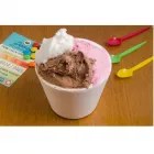 La imagen 3 de la Empresa DOURO HELADOS & CAFÉ Ventas de Helados en San Martin AR-B