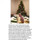 La imagen 1 de la Empresa EMPANADAS Y PASCUALINAS DOÑA LOLA Ventas de Pastas Frescas en Ramos Mejía AR-B