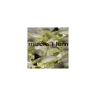 La imagen 2 de la Empresa FARMACIA FLEMING Vacunatorios en Capital Federal AR-B