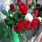 La imagen 4 de la Empresa FLORERIA CRISTAL ENVIOS A DOMICILIO Florista en Corrientes AR-W	