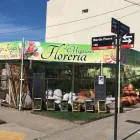 La imagen 1 de la Empresa FLORERIA Y VIVERO LOS MIRASOLES Ventas de Flores en Puerto Madryn AR-U