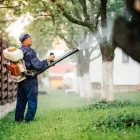 La imagen 2 de la Empresa FUMIGACIONES ABC Servicio de control de plagas en La Lucila AR-B