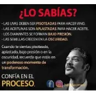 La imagen 1 de la Empresa JG SEGUROS E INVERSIONES Granizo en Villa Nueva AR-M	