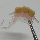 La imagen 5 de la Empresa LABORATORIO DENTAL SILGER Protesis Dentales en Mar del Plata AR-B