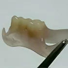 La imagen 7 de la Empresa LABORATORIO DENTAL SILGER Protesis Dentales en Mar del Plata AR-B