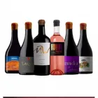La imagen 2 de la Empresa LEVEL Vinos Finos en Tigre AR-B