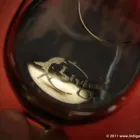 La imagen 6 de la Empresa LIVING DU - CASA DE VINOS - Regalos Empresariales en Caseros AR-B