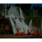 La imagen 1 de la Empresa M&M TURISMO Viajes de Turismo en Puerto Iguazú AR-N	