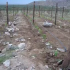 La imagen 1 de la Empresa MASSUD MADERAS Varillas en Mendoza AR-M	