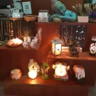 La imagen 12 de la Empresa MITZEL AYME Terapia Sonora y Floral en Ramos Mejía AR-B