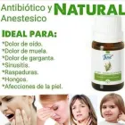 La imagen 5 de la Empresa NÉLIDA BRAVO ESTÉTICA CORPORAL Tienda de suministros para la belleza en Lanús AR-B