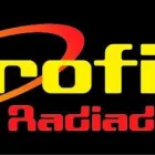 La imagen 3 de la Empresa OROFINO RADIADORES Ventas De Radiadores en Guaymallén AR-M	