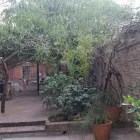 La imagen 2 de la Empresa PABLO PERRO VERDE  DAVERDES Plantines en Del Viso AR-B