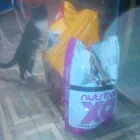 La imagen 9 de la Empresa PETSHOP DELIVERY QUELOPERRIO Tienda para mascotas en Castelar AR-B