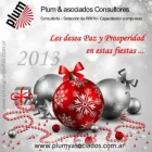 La imagen 1 de la Empresa PLUM Y ASOCIADOS CONSULTORES Ventas en Córdoba Argentina