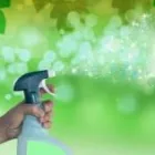 La imagen 4 de la Empresa PRODUCTOS DE LIMPIEZA ECOLÓGICOS MARCELO PARRA Empresa de servicios de limpieza en Chajarí AR-E