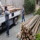 La imagen 3 de la Empresa SERVICIOS NORTE  FLETES Y CARGA GENERAL Transportes de Mudanzas en Del Viso AR-B