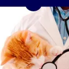 La imagen 1 de la Empresa SERVICIOS VETERINARIOS DR JORGE JONES Productos Veterinarios en Trelew AR-U