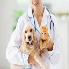 La imagen 1 de la Empresa TODO MASCOTAS Hospitales para Animales en Capital Federal AR-B