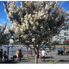 La imagen 14 de la Empresa TURISMO TV, TELEVISIÓN TURÍSTICA Videos Lugares Turísticos en Buenos Aires AR-C