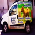 La imagen 1 de la Empresa VETERINARIA SANTIAGO Medicina para Animales en Granadero Baigorria AR-S