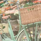 La imagen 2 de la Empresa VIVERO SAN CAYETANO Viveros en Mendoza AR-M	