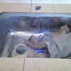 La imagen 8 de la Empresa WALTER ARSCHAK - GASISTA MATRICULADO Electricidad, Electrónica en Mar del Plata AR-B
