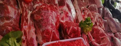La imagen 3 de la Empresa CARNICERIA Y GRANJA SANTINO Ventas de Carnes en Santos Lugares AR-B