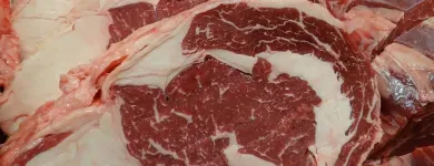 La imagen 7 de la Empresa CARNICERIA Y GRANJA SANTINO Ventas de Carnes en Santos Lugares AR-B