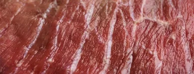 La imagen 8 de la Empresa CARNICERIA Y GRANJA SANTINO Ventas de Carnes en Santos Lugares AR-B
