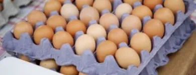 La imagen 3 de la Empresa CASA LACHER - MAYORISTA DE  POLLOS Y HUEVOS FRESCOS Ventas de Pollos en Capital Federal AR-B
