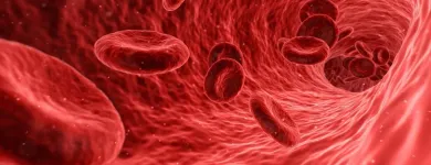 La imagen 3 de la Empresa CENTRO DE ESTUDIOS HEMODINAMICOS NO INVASIVOS (CEHNI) Traslucencia Nucal en Concepción AR-T