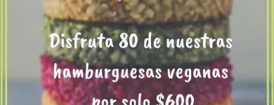 La imagen 4 de la Empresa DELICIOSO Y NATURAL HAMBURGUESAS POR MAYOR Y MENOR Tienda de alimentos naturales en Remedios de Escalada AR-B