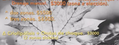 La imagen 3 de la Empresa ERICA GONZALEZ - ESTETICA POR PROFESIONALES Radiofrecuencia en Neuquén AR-Q