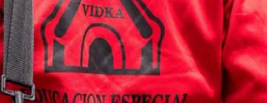 La imagen 3 de la Empresa NUESTRO LUGAR VIDKA Institutos Educativos en Adrogué AR-B