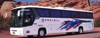 La imagen 5 de la Empresa PECADI S.A. TRANSPORTES Turismo Nacional en El Palomar AR-B