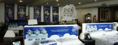 La imagen 6 de la Empresa PETRIOS Somnier en Mendoza AR-M	