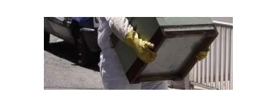 La imagen 10 de la Empresa QUITAPLAGAS XXX en Adrogué AR-B