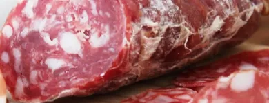 La imagen 1 de la Empresa SALAME CHAJARÍ Turismo Chajari en Chajarí Entre Ríos Argentina AR-E
