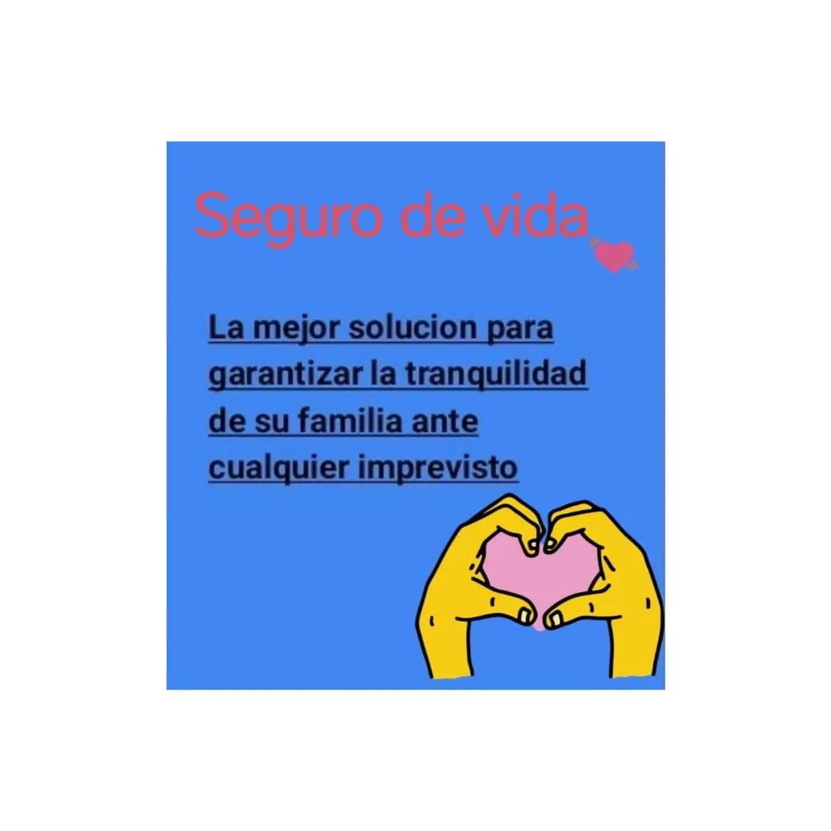 La imagen 2 de la Empresa SEGUROS NATALIA LENZI